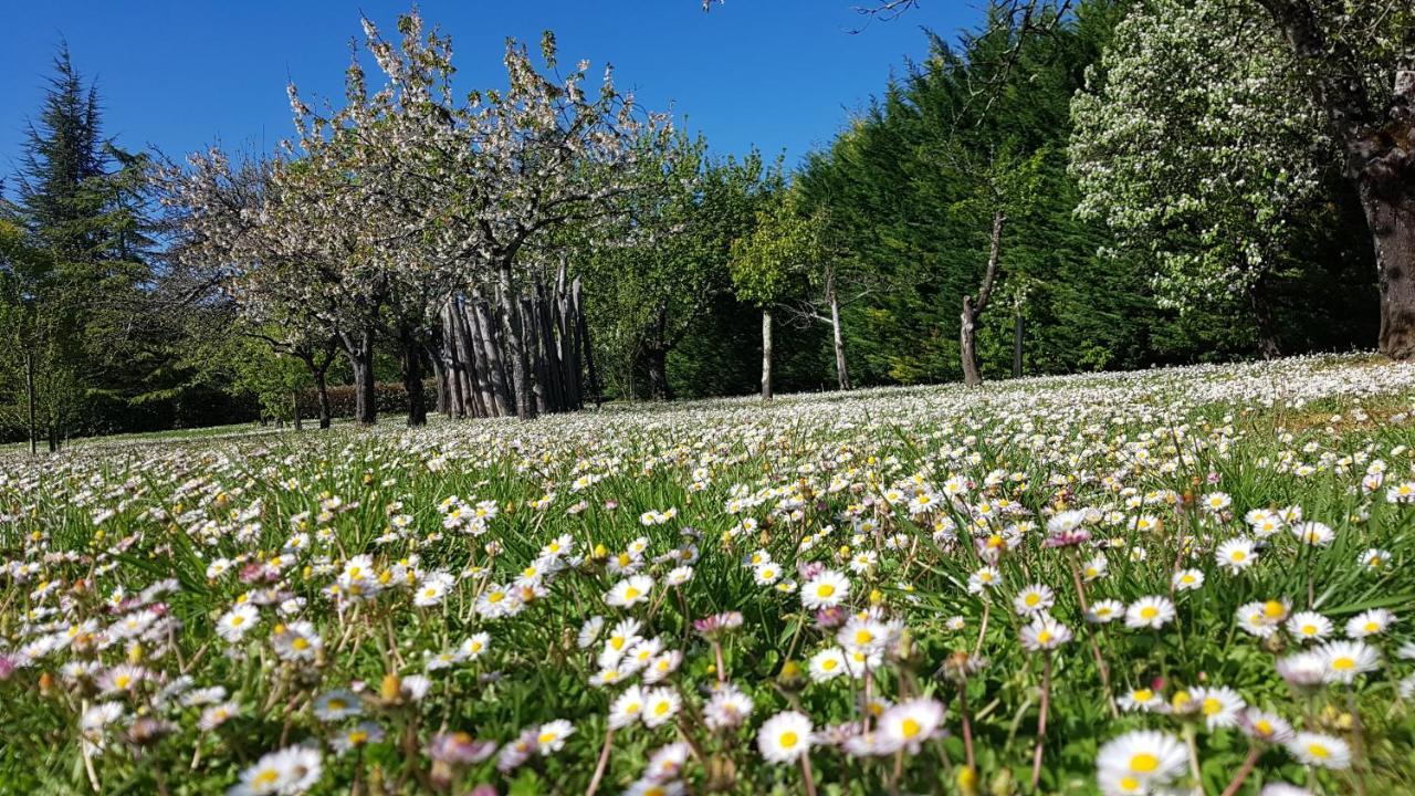 הוילה קונדום Domaine De La Brette מראה חיצוני תמונה